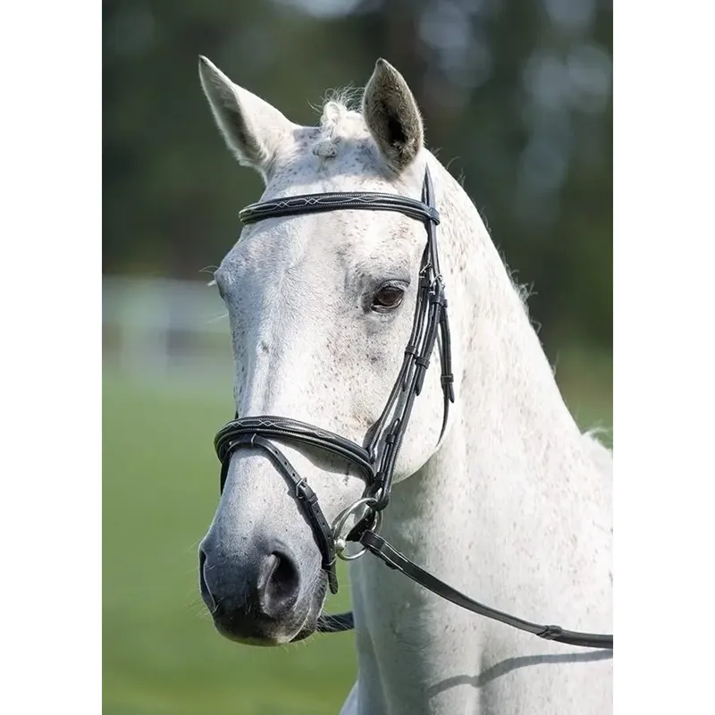 Avignon Padded Raised Flash Bridle - Black